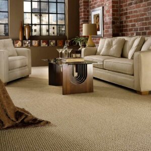 Modern Carpet Room Scene | Gil's Carpets