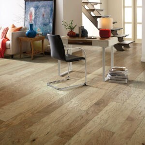 Hardwood flooring | Gil's Carpets