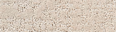 Soft Carpet | Gil's Carpets