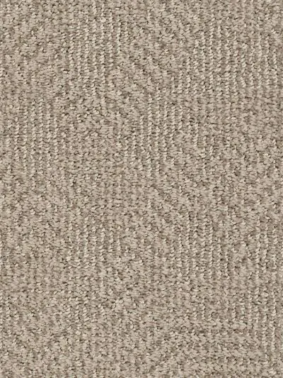 Carpet | Gil's Carpets
